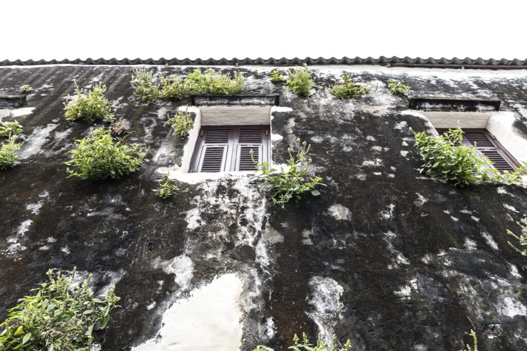 Living in House with Asbestos Risk