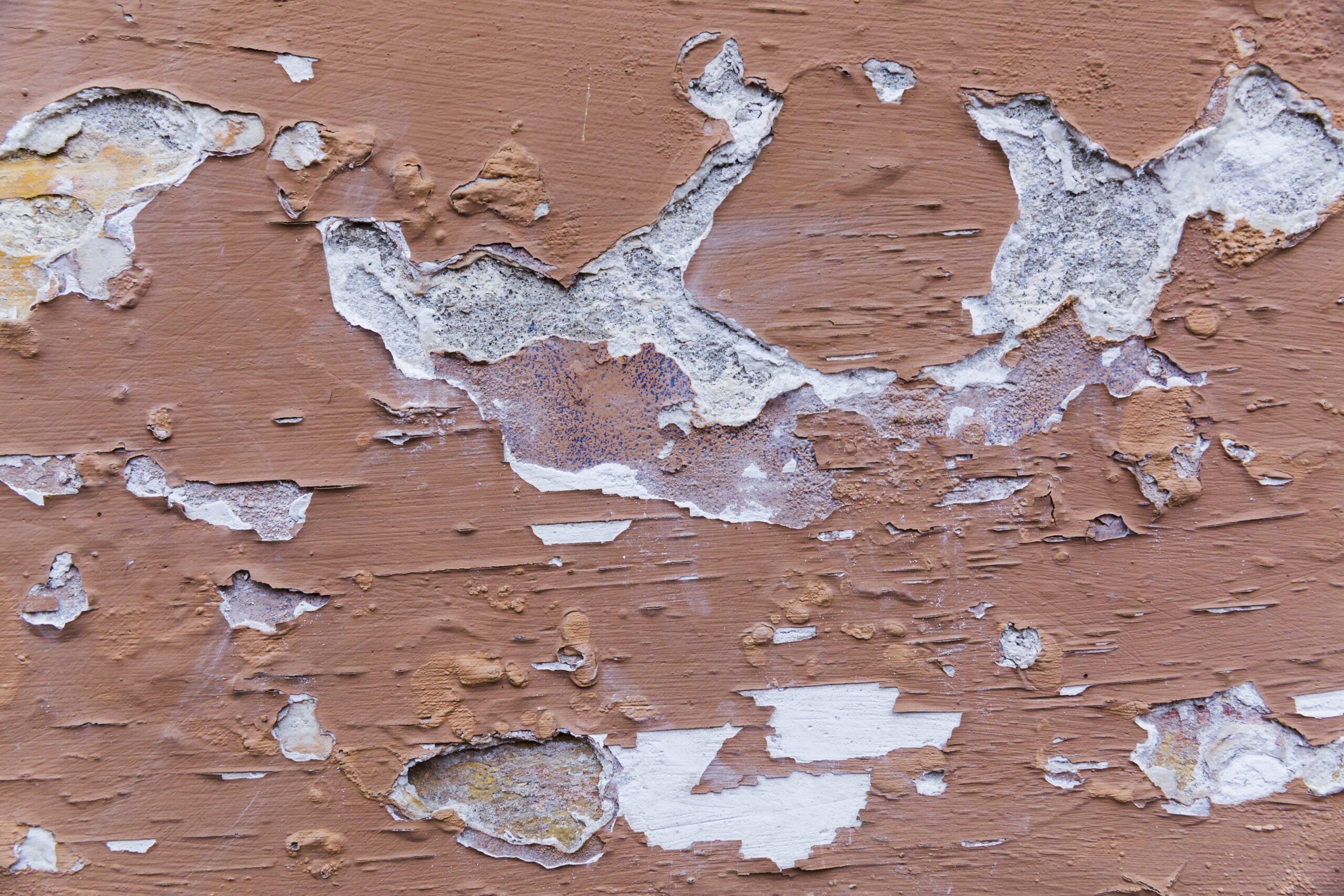 Asbestos Paint Peeling Off School Wall