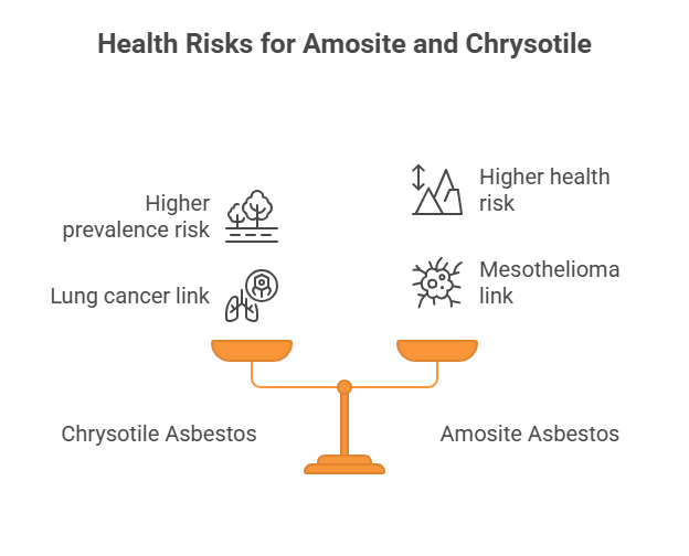Health Risks of Amosite and Chrysotile