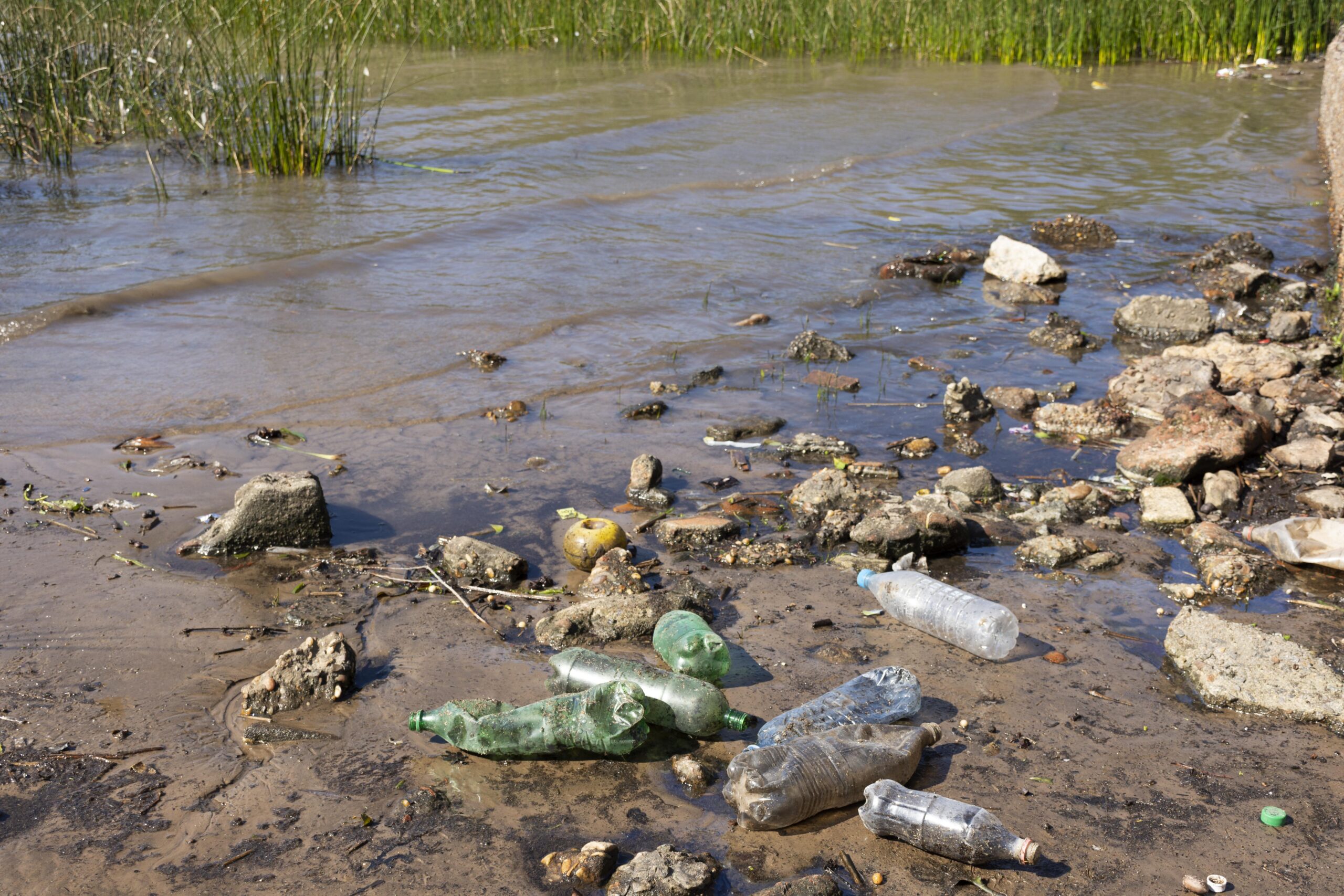 leachate contamination scaled Leachate Contamination: How It Forms and Why It is a Threat to Water Quality 1 Water Body with Leachate Contamination
