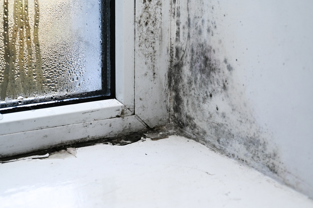 Mould Growth in Window Sill of School