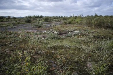 Environmental Planning Behind Brownfield Redevelopment