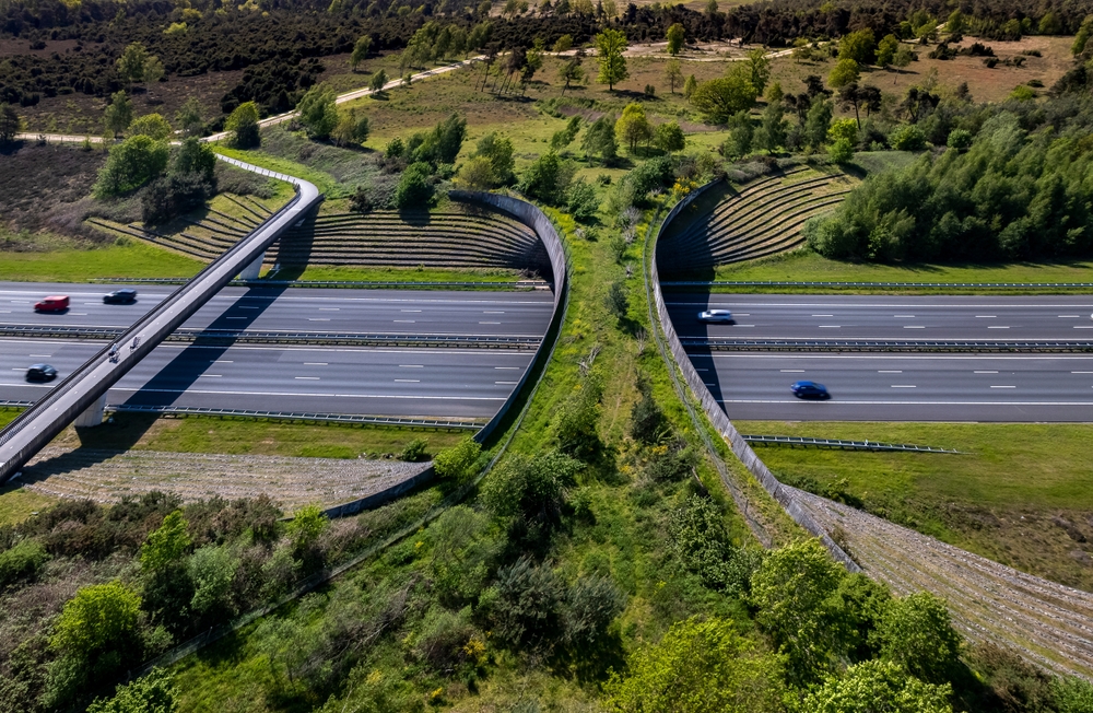 A Crossover Extension Over a Highway